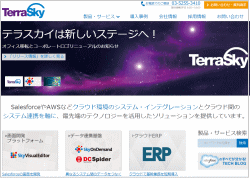 テラスカイのホームページ画像