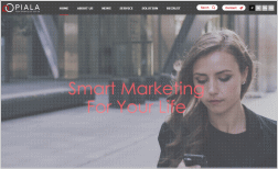 ピアラのホームページ画像