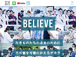 WOLVES HAND[ウルブズハンド]のホームページ画像