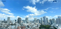 Skyfall のホームページ画像